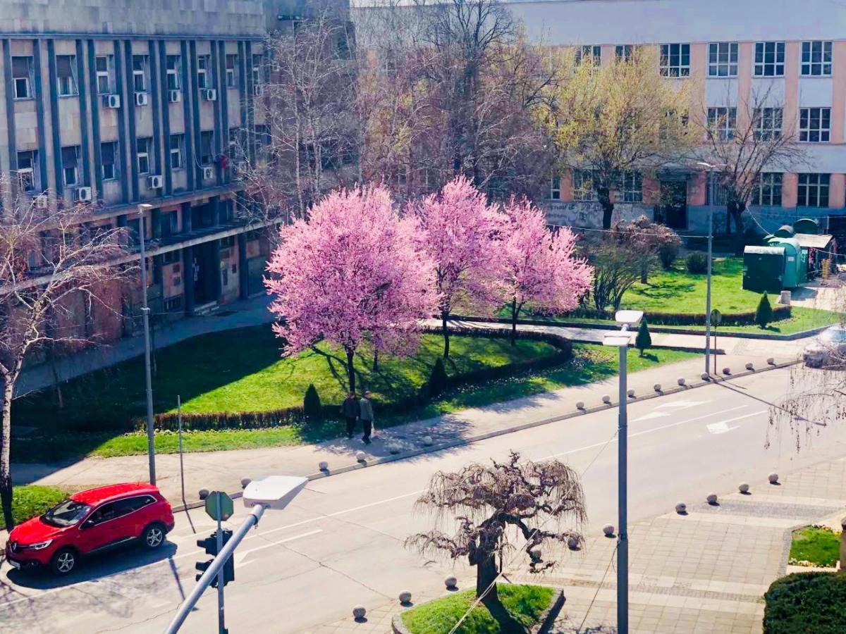 Bella Studios Kruševac Kültér fotó